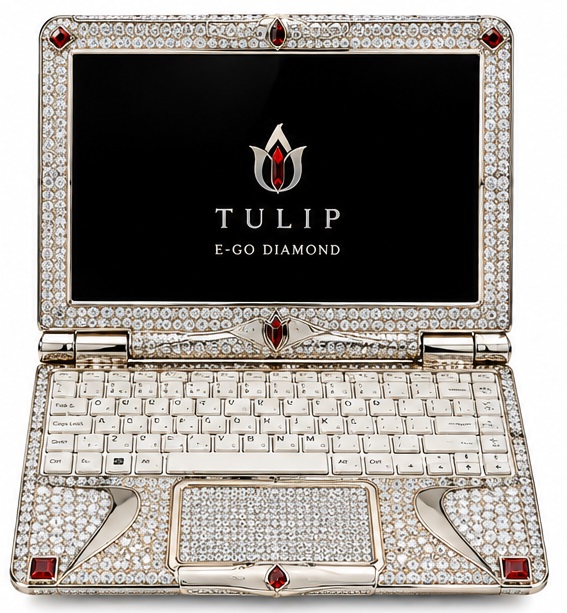 Tulip E-Go Diamond front